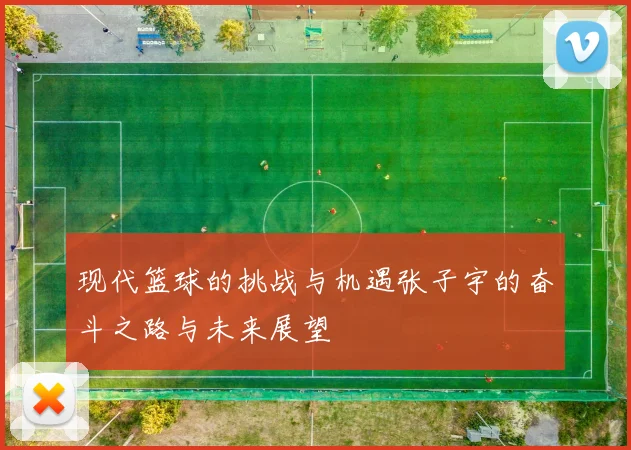 现代篮球的挑战与机遇张子宇的奋斗之路与未来展望