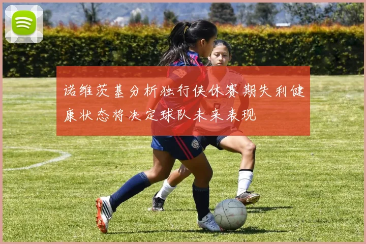 诺维茨基分析独行侠休赛期失利健康状态将决定球队未来表现